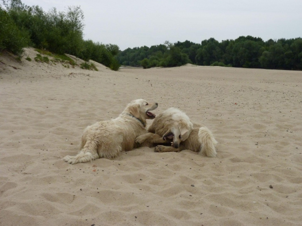 Brutus i Duffel, Wisła, czerwiec 2011