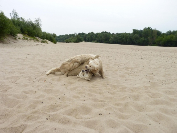 Brutus i Duffel, Wisła, czerwiec 2011