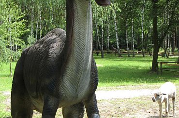 Rodzinny Park Atrakcji #alpaka #Atrakcji #dinozaur #Park #Rodzinny #Rybnik