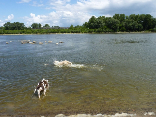 Brutus i Lola, Wisła, czerwiec 2011