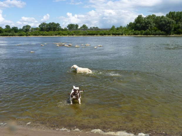 Brutus i Lola, Wisła, czerwiec 2011