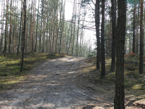 Otwock - Mazowiecki Park Krajobrazoowy